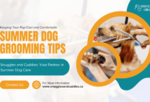 summer dog grooming tips