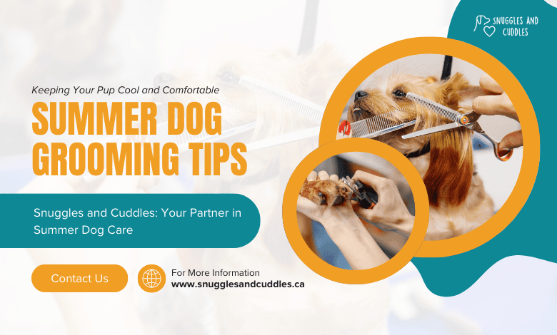 summer dog grooming tips